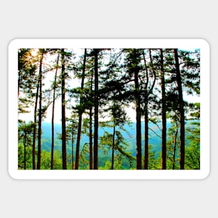 View from Monte San Martino with pine trees, sun, Sibillini and hills Sticker